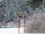 Zipline Tower in Snow