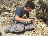 Digging for Fossils